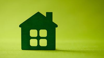 Net Zero: Alternatives to Hydrogen