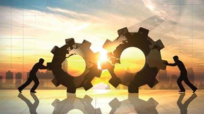 A Cog in the Machine
