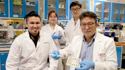 Using a sponge made of pollen to soak up oil from contaminated water