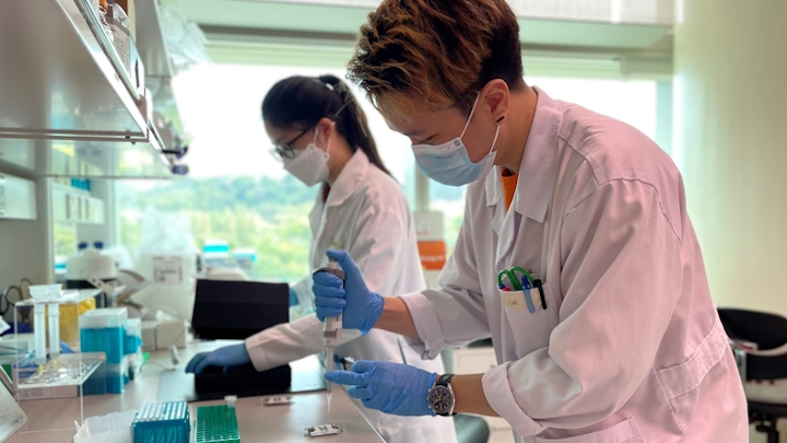 Rapid test identifies Covid-19 antibodies