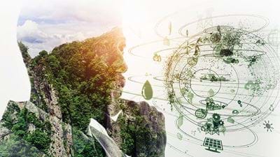 Sustainable  Business Decisions