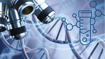 An Introduction to the Biopharmaceutical Industry