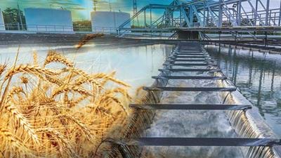 Question Time: Food & Water