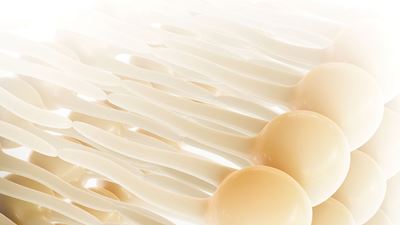 Health: Taking nanopharmaceuticals from the lab to clinics