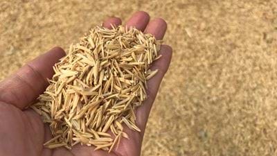 Solvay will use rice husks for greener tyre chemicals