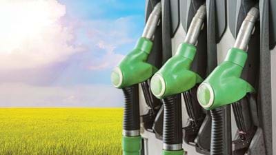 The Role of Biofuels in Energy Transitions