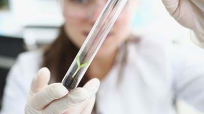 Soil Survivor: Using Nanotech for Regenerative Agriculture