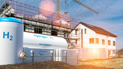 The Economic Case for Hydrogen in Domestic Heating