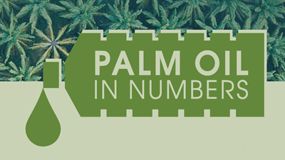 Palm Oil in Numbers