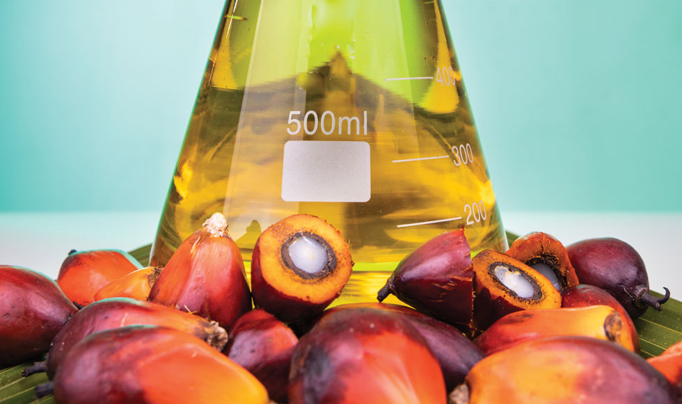 Sharing the Secrets of Greener Palm Oil