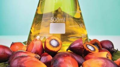 Sharing the Secrets of Greener Palm Oil