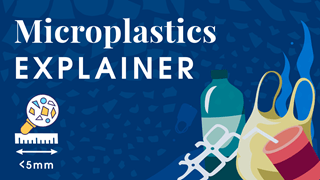 Microplastics Explainer
