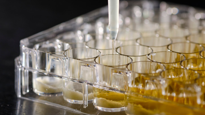 Evonik targets €1.5bn sales boost with sustainable research strategy