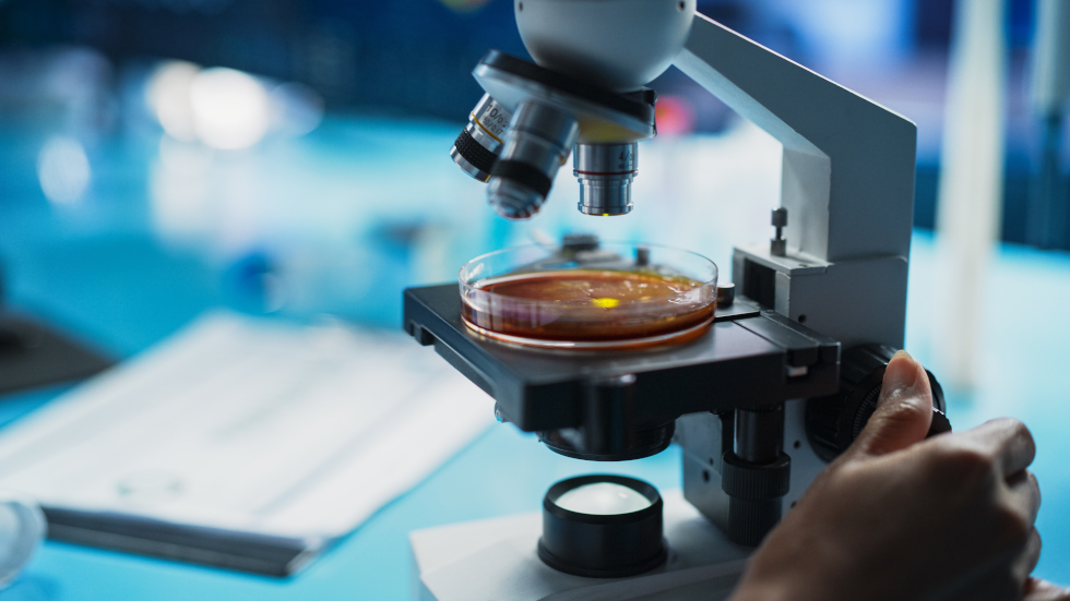 BioNTech to acquire Chinese oncology startup for almost US$1bn