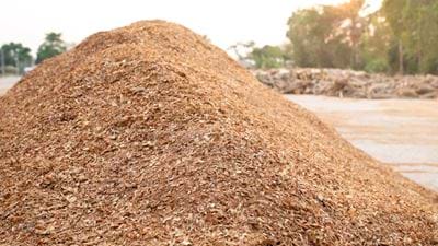 Scottish researchers use sawdust to develop ‘high-value’ chemicals