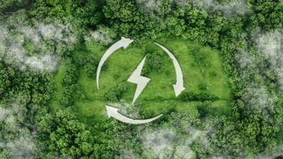 Switching to Green  Energy in the Food Manufacturing Industry