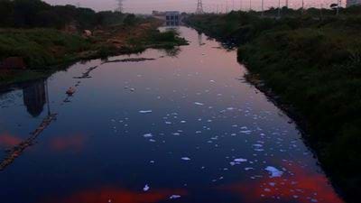 Report calls for greater alignment between EU and US toxic chemical waste regulation