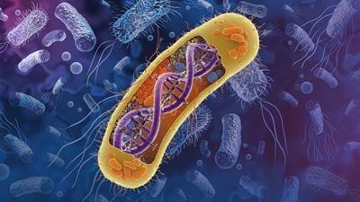 Full-bore Biotech