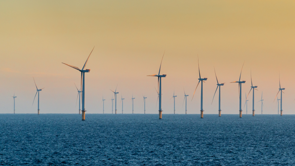 Call for manufacturing support as Ørsted shelves UK’s huge Hornsea offshore wind project