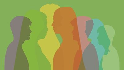 Profiles of an Electrochemical Engineer