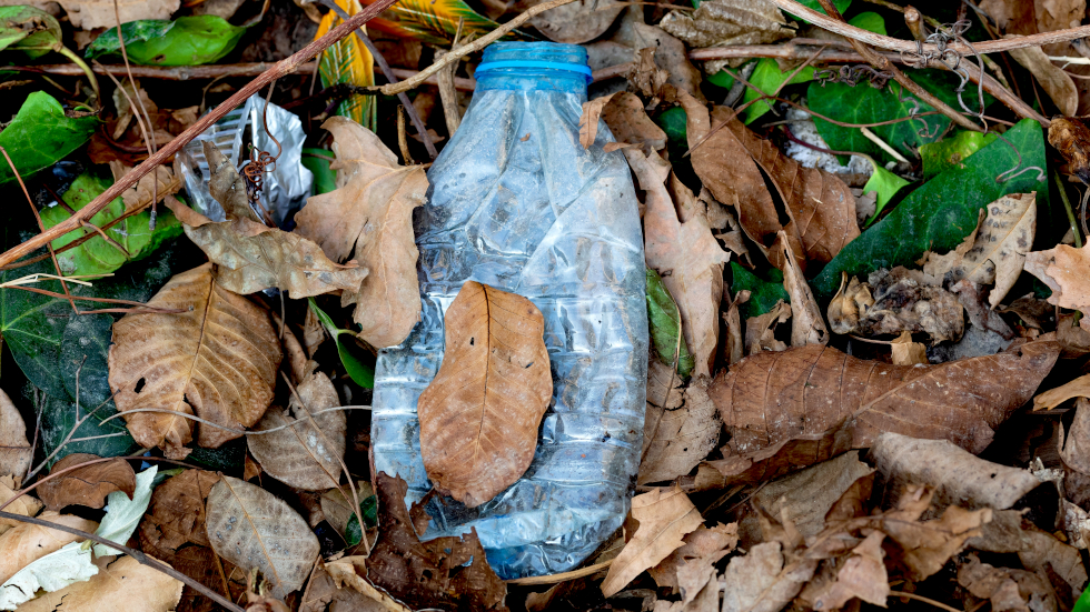 Leaf it out! Chemical engineers develop bioplastic that breaks down in soil