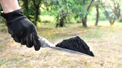Biochar made from human excrement can ‘alleviate’ global fertiliser challenges