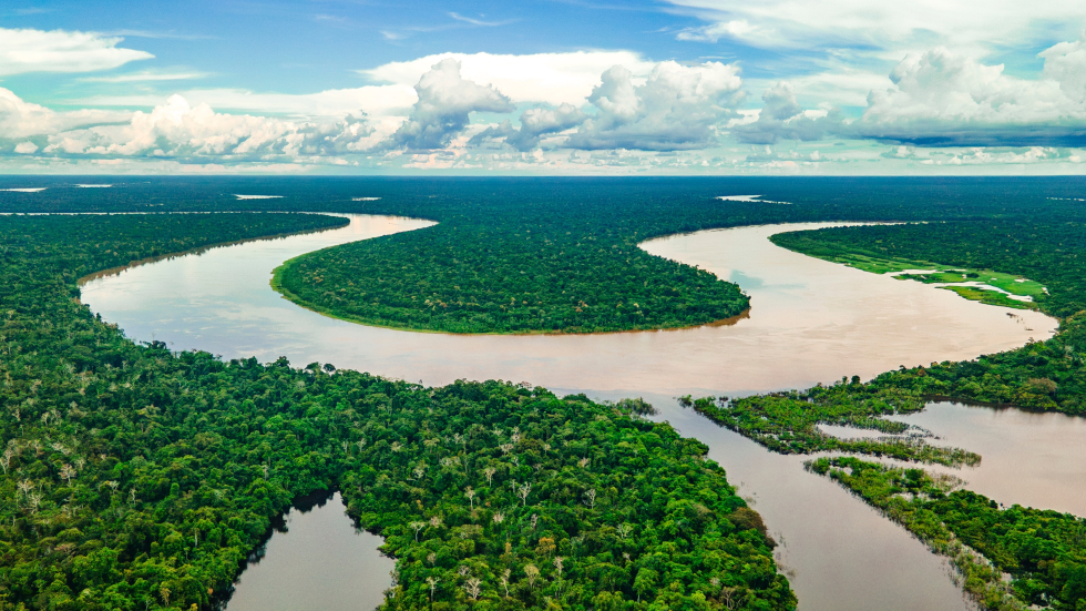Brazil greenlights oil drilling in the Amazon 