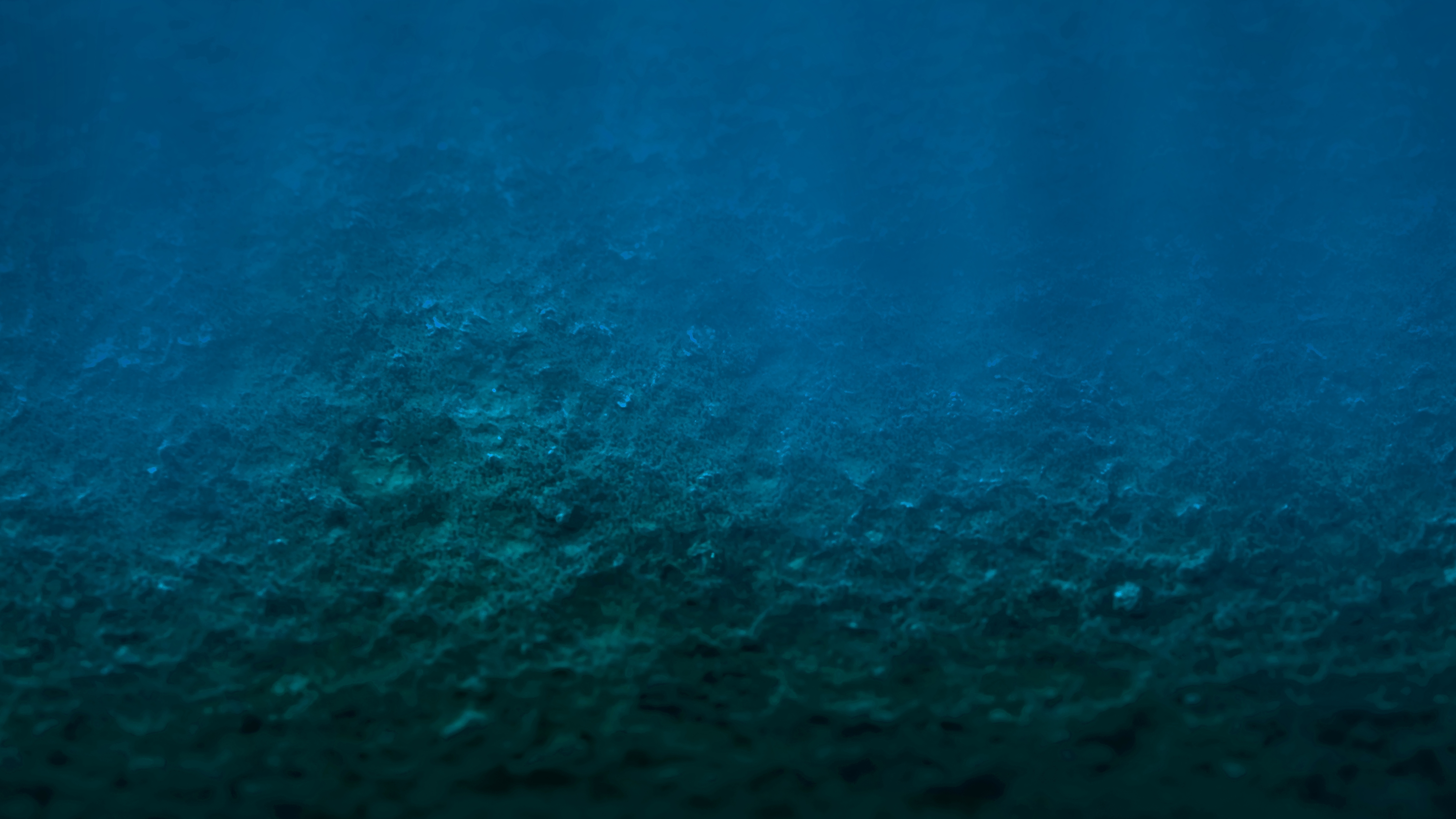 Deep-sea mining found to significantly reduce life on the seabed 