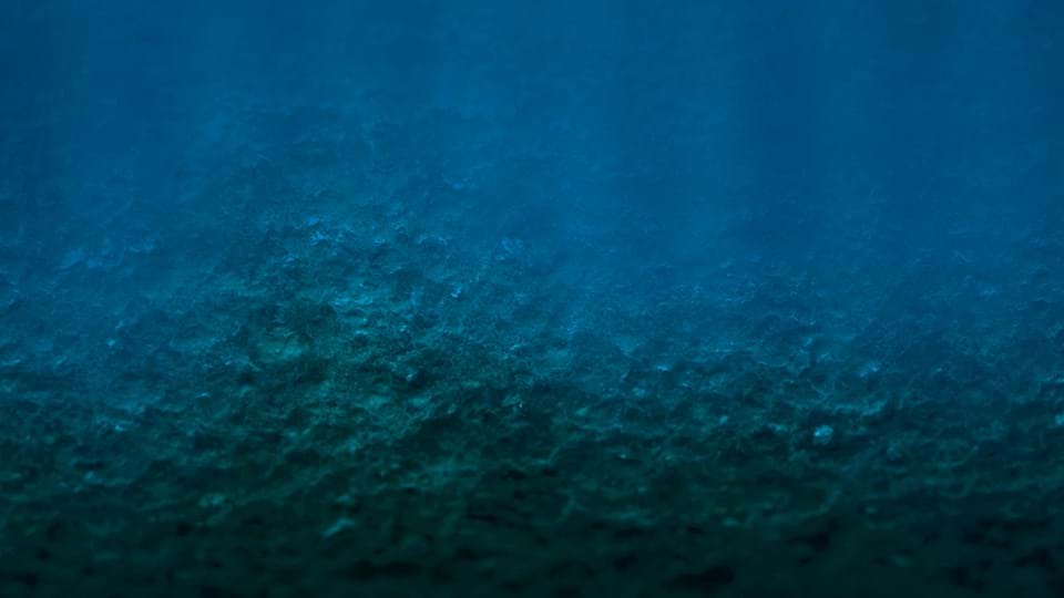 Deep-sea mining found to significantly reduce life on the seabed - News ...