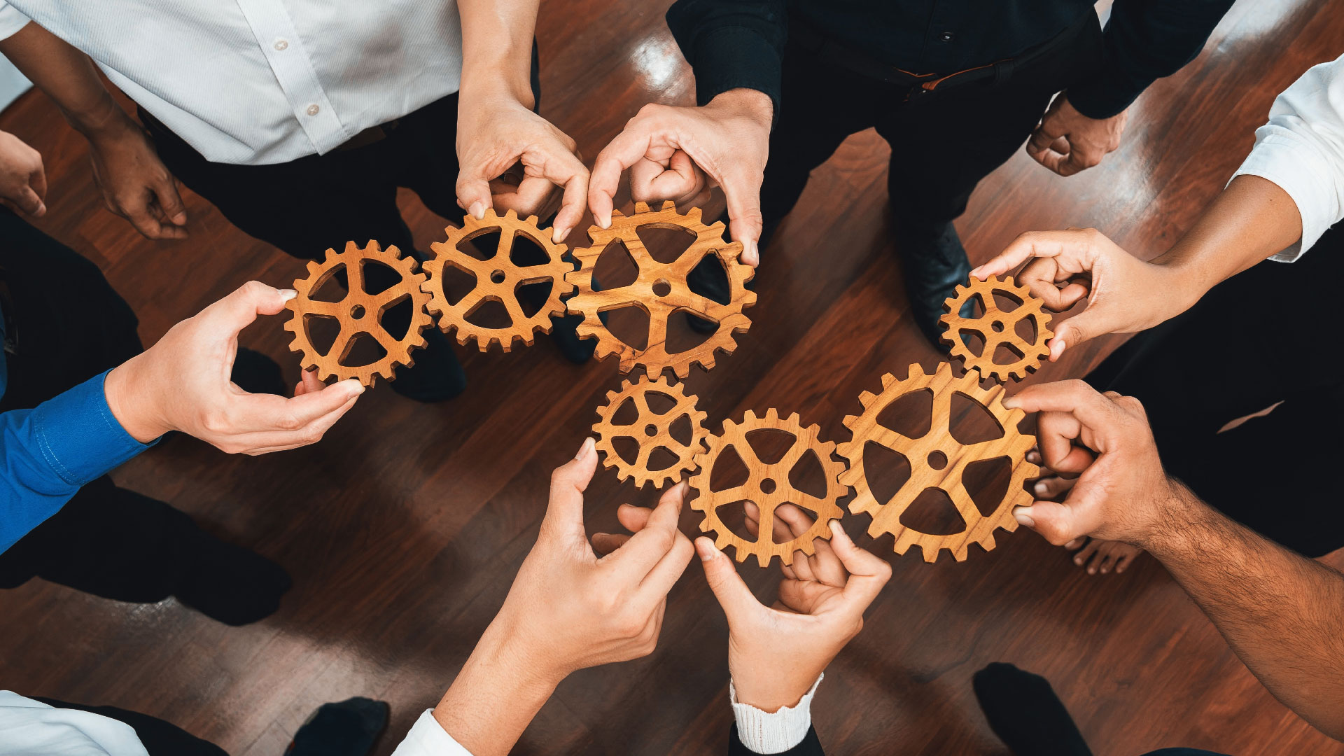 Engagement in action: Stories from Member Engagement Committee volunteers