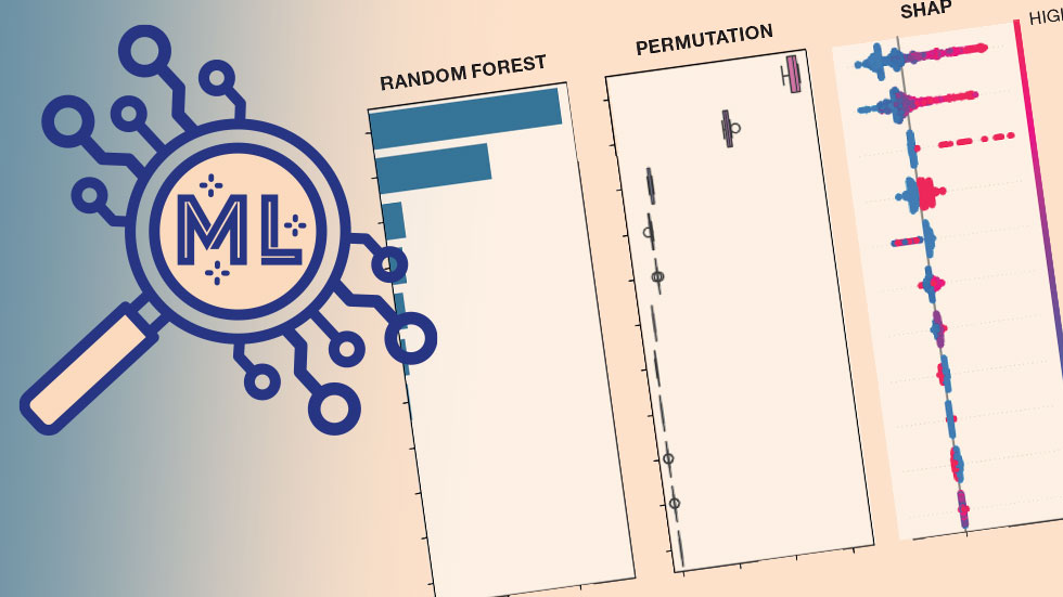Demystifying and Debunking ML Part 4: Strategies for Understandable Models and Conclusions 