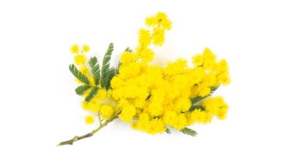 IChemE Matters - April 1018