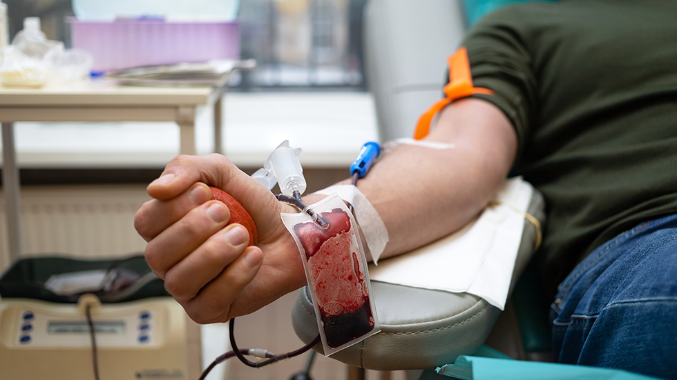 UK-sourced plasma approved for medicine manufacture 27 years after BSE crisis prompted ban