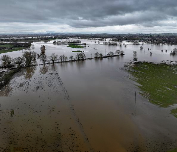 Flooding: the market 