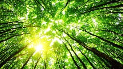 Earth Day: EngineeringUK publishes webinar to encourage young people into engineering through sustainability