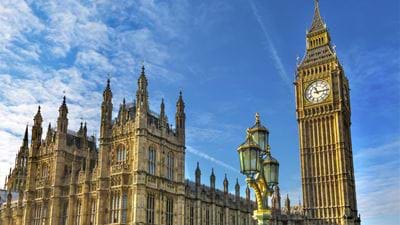 Policy Perspective: Sustainable Transitions